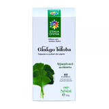 Ginkgo Biloba, 60 gélules, Divine Star