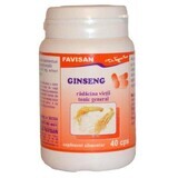 Ginseng, 40 cápsulas, Favisan