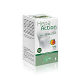 Hepa Action , 50 gélules, Aboca