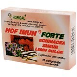 Hofimun Forte, 20 comprimidos, Hofigal