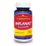 Inflanat Curcumin95, 60 capsule, Herbagetica