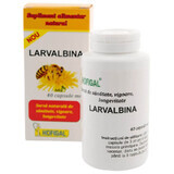 Larvalbine, 40 cápsulas blandas, Hofigal