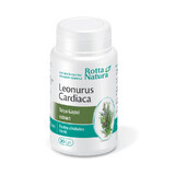 Leonurus Cardiaca - Estratto di zampa d'oca, 30 capsule, Rotta Natura