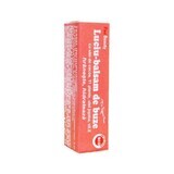 Lipgloss-Balsam, 4,2 g, Favisan