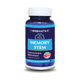 Memory Stem, 30 cápsulas, Herbagetica