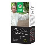 Meridian Dickdarm Tinktur, 100 ml, Divine Star