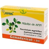 Mladite de Afin Gemoderivat, 30 dosis, Hofigal