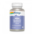 MSM 750 mg Solaray, 90 plantaardige capsules, Secom