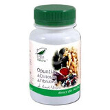 Opuntia, Chitosan si Fibrulina, 60 capsule, Pro Natura