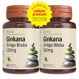 Pack Ginkana Ginkgo Biloba 120mg, 30 comprimés, Alevia (1+1)