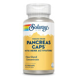 Pancreas Caps Solaray, 60 capsule, Secom