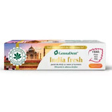 India Fresh GennaDent dentífrico natural con neem y cúrcuma, 80 ml, Vivanatura