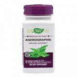 Andrographis SE Nature's Way, 60 cápsulas, Secom