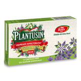 Plantusin Usureaza Expectoratia R18, 15 capsule, Fares