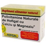 Multivitaminas naturales con calcio y magnesio, 40 cápsulas, Hofigal