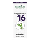 Polygemma 16 Poumons, 50 ml, Plant Extrakt 