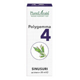Polygemma 4 Sinusuri, 30 ml, Plant Extrakt 