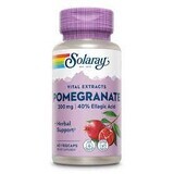 Pomegranate Solaray, 60 capsule, Secom