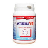 Antistress, 40 capsule, Favisan