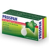 Prospan Brausetabletten, 10 Tabletten, Engelhard Arzneimittel