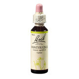 Madreselva Original Bach Honeysuckle Flower Remedy, 20 ml, Rescue Remedy