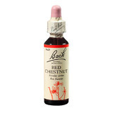 Remedio Floral de Bach Castaño Rojo Original, 20 ml, Rescue Remedy