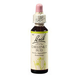 Flower Remedy Wild Chestnut Bud Original Bach Flower Remedy, 20 ml, Rescue Remedy