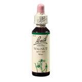 Walnoot Original Bach bloesemremedie, 20 ml, Rescue Remedy