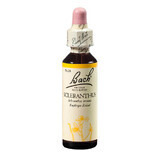 Flower Remedy Wilde Porecress Druppels Scleranthus Original Bach, 20 ml, Rescue Remedy