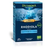 Rhodiola, 20 Viales x 10ml, Laboratoires Dietaroma