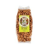 Amandes d'abricots, 150g, Solaris