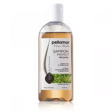 Shampooing à l'extrait de noix pour cheveux satinés Beauty Hair, 250 ml, Pellamar