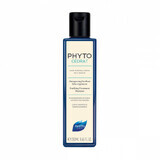 Phyto Phytocédrat Purifying Treatment Shampoo 250ml