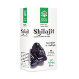 Shilajit, 60 cápsulas, Divine Star