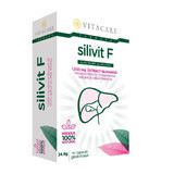 Silivit F, 90 cápsulas, Vitacare