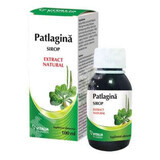 Patlagin jarabe, 100 ml, Vitalia