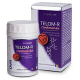 Telom-R Cardiovascular, 120 cápsulas, Dvr Pharm