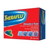 Theraflu Catarro y Tos 500 mg/6,1 mg/100 mg, 16 cápsulas, Gsk