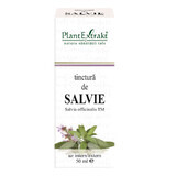 Teinture de sauge, 50 ml, Plant Extrakt