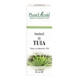 Tintura de Tuia, 30 ml, Plant Extrakt