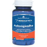 Ashwagandha, 60 cápsulas, Herbagetica