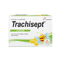 Trachisept Junior con miel y limón, 16 comprimidos, Labormed