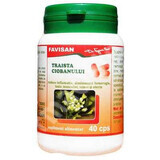 Herdershut, 40 capsules, Favisan