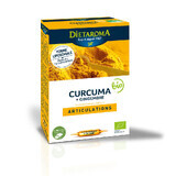 Turmeric si Ghimbir Bio, 20 fiole buvabile, Dietaroma