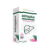 Astragalus Forte, 30 cápsulas, Vitacare