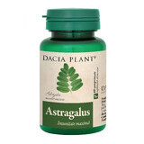 Astragalus, 60 tabletten, Dacia Plant