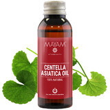 Huile de centella asiatica (M - 1168), 50 ml, Mayam