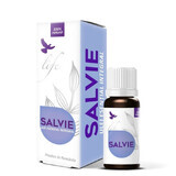 Olio essenziale intero di salvia, 10 ml, Bionovativ