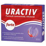 Uractiv forte, 20 cápsulas, Fiterman Pharma