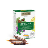 APIELIXIR sanatatea cailor respiratorii Albina Carpatina, 10 fiole x 10 ml, Apicola